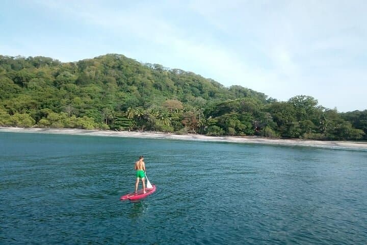 Langosta